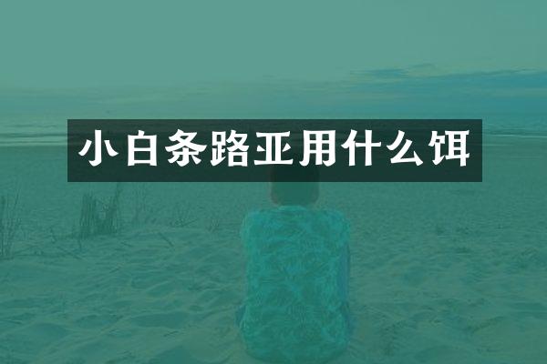 小白条路亚用什么饵