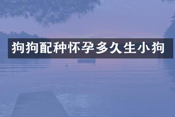 狗狗配种怀孕多久生小狗