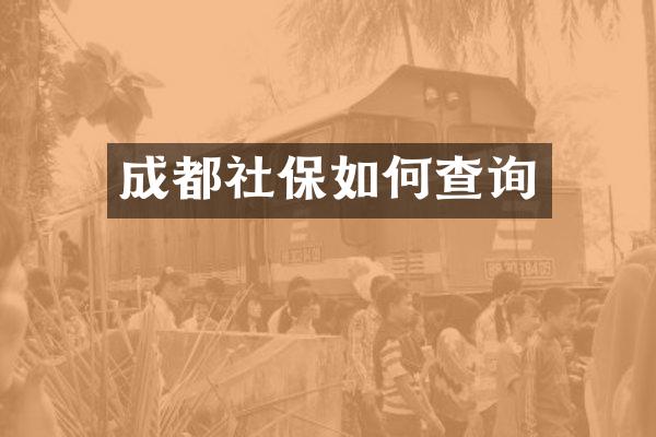 成都社保如何查询