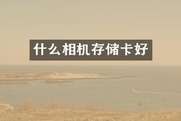 什么相机存储卡好