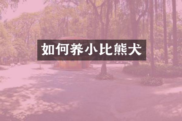 如何养小比熊犬