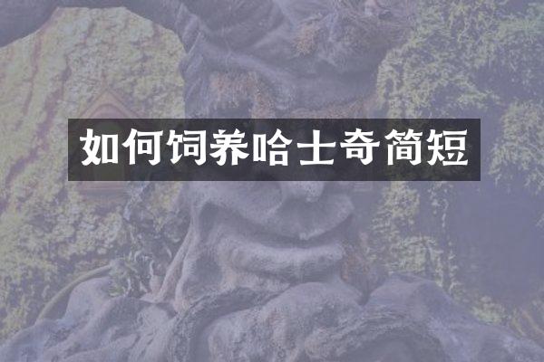 如何饲养哈士奇简短