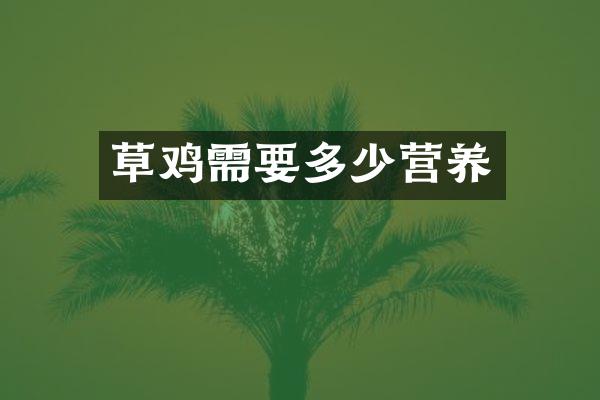 草鸡需要多少营养