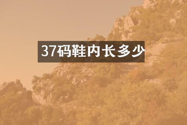 37码鞋内长多少