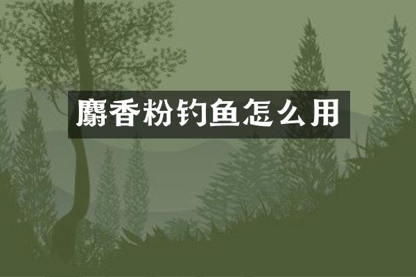 麝香粉钓鱼怎么用