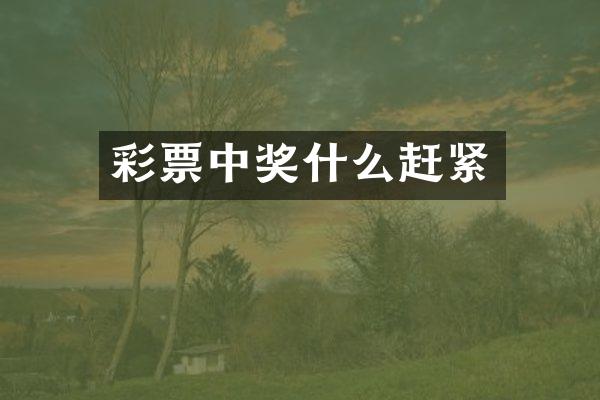 彩票中奖什么赶紧