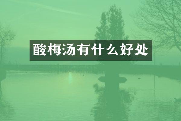 酸梅汤有什么好处