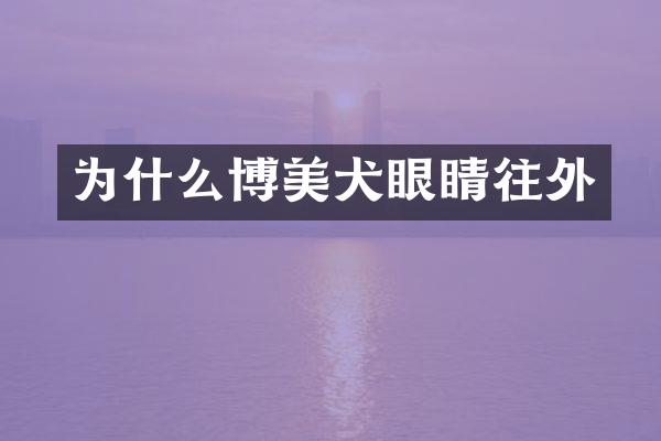 为什么博美犬眼睛往外