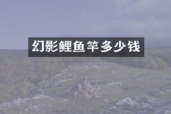 幻影鲤鱼竿多少钱