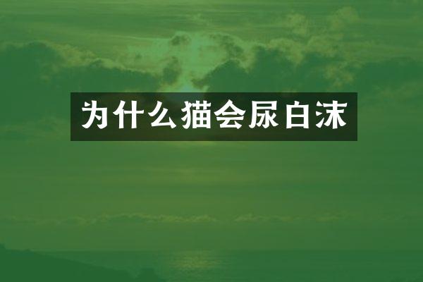 为什么猫会尿白沫