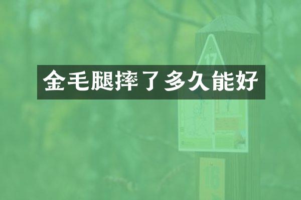 金毛腿摔了多久能好