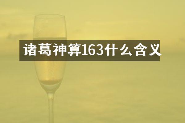 诸葛神算163什么含义
