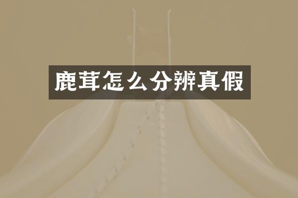 鹿茸怎么分辨真假