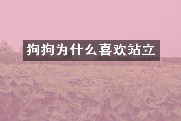狗狗为什么喜欢站立