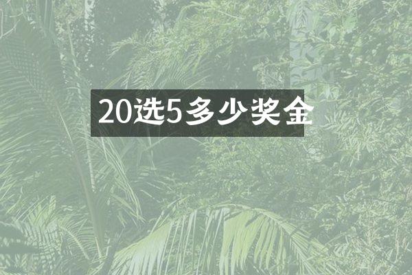 20选5多少奖金
