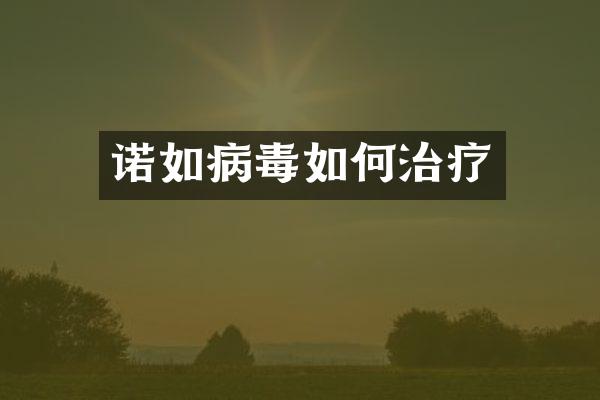诺如病毒如何治疗