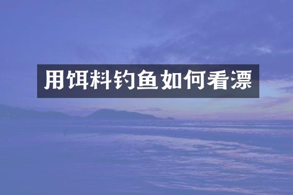 用饵料钓鱼如何看漂