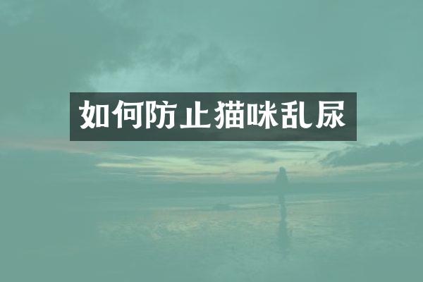 如何防止猫咪乱尿