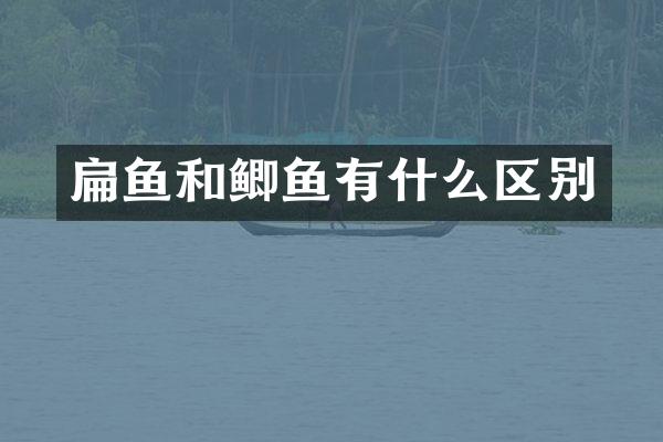 扁鱼和鲫鱼有什么区别