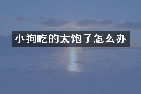 小狗吃的太饱了怎么办