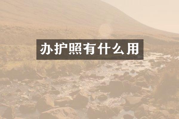 办护照有什么用