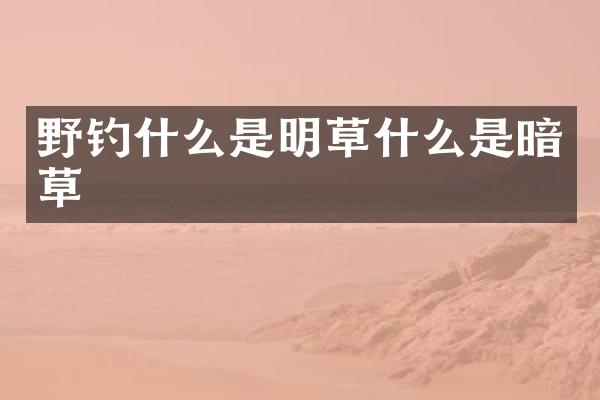 野钓什么是明草什么是暗草