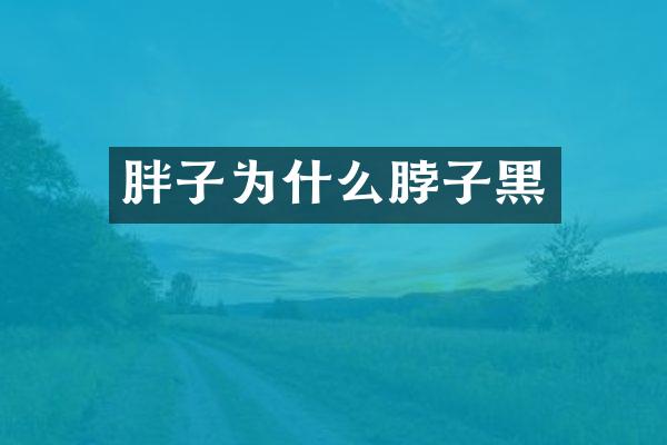 胖子为什么脖子黑