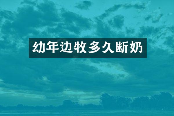 幼年边牧多久断奶