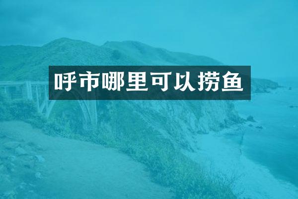 呼市哪里可以捞鱼