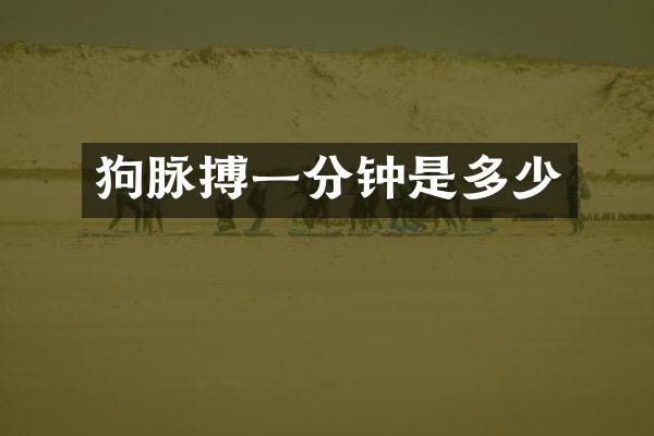 狗脉搏一分钟是多少