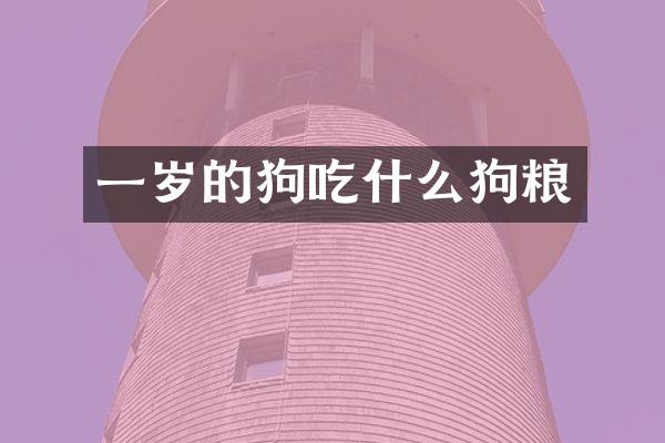 一岁的狗吃什么狗粮