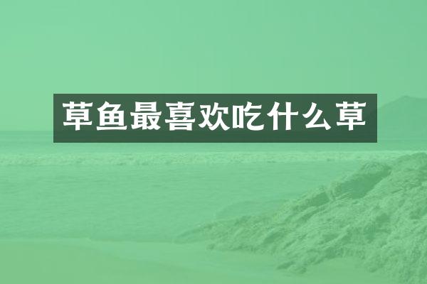 草鱼最喜欢吃什么草