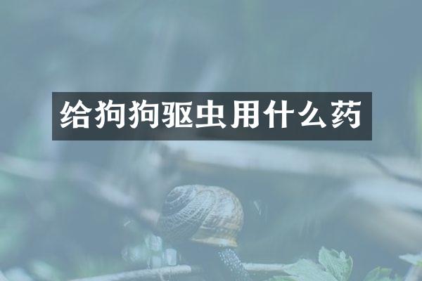给狗狗驱虫用什么药