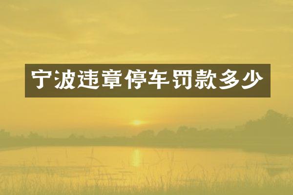 宁波违章停车罚款多少