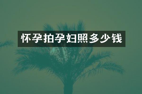 怀孕拍孕妇照多少钱