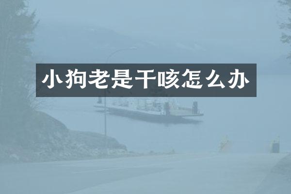 小狗老是干咳怎么办