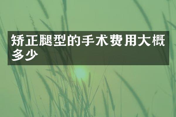 矫正腿型的手术费用大概多少