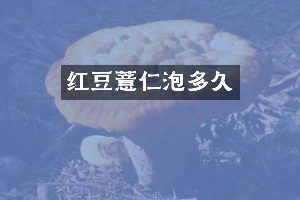 红豆薏仁泡多久