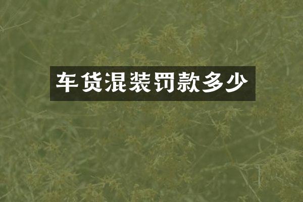 车货混装罚款多少