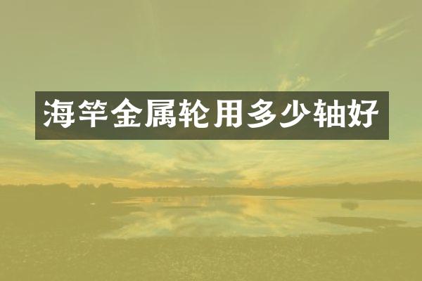 海竿金属轮用多少轴好