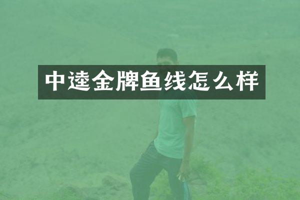 中逵金牌鱼线怎么样