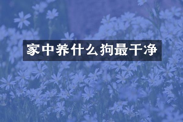 家中养什么狗最干净