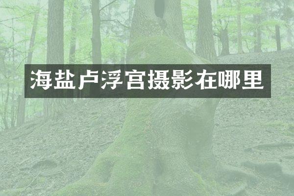 海盐卢浮宫摄影在哪里