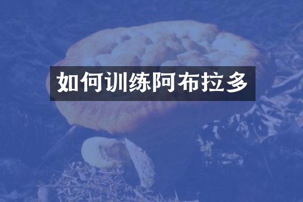 如何训练阿布拉多