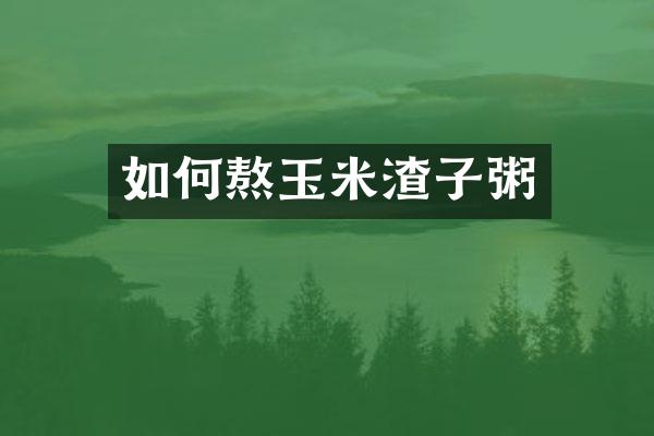 如何熬玉米渣子粥