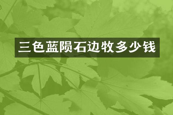 三色蓝陨石边牧多少钱