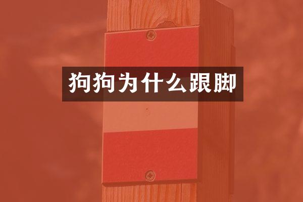 狗狗为什么跟脚