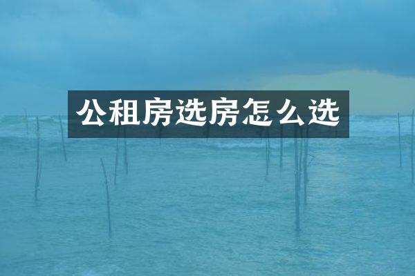 公租房选房怎么选