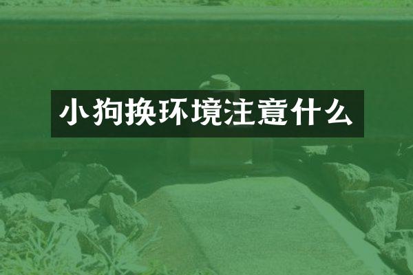小狗换环境注意什么