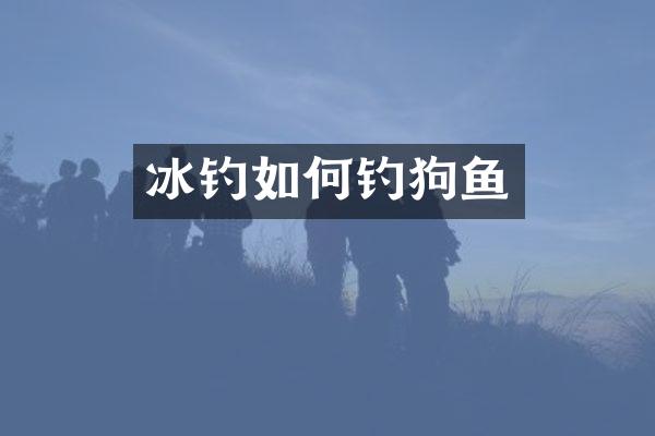 冰钓如何钓狗鱼